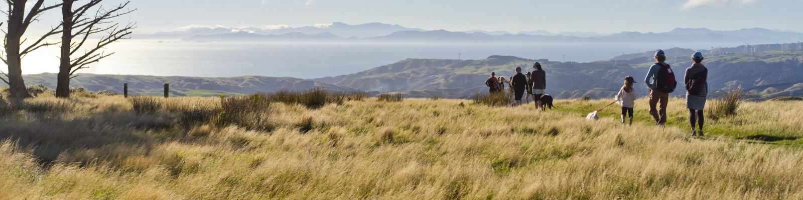 Family walking on top of a hill