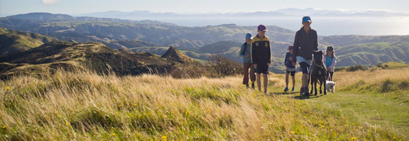 Children walking in green hills of new migration country in New Zealand 